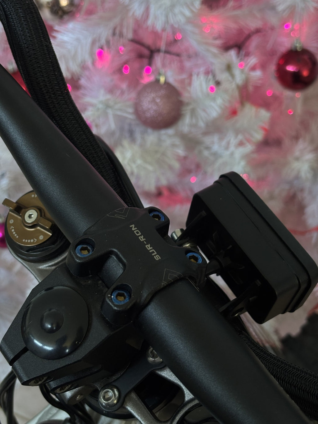 Stem Bolts