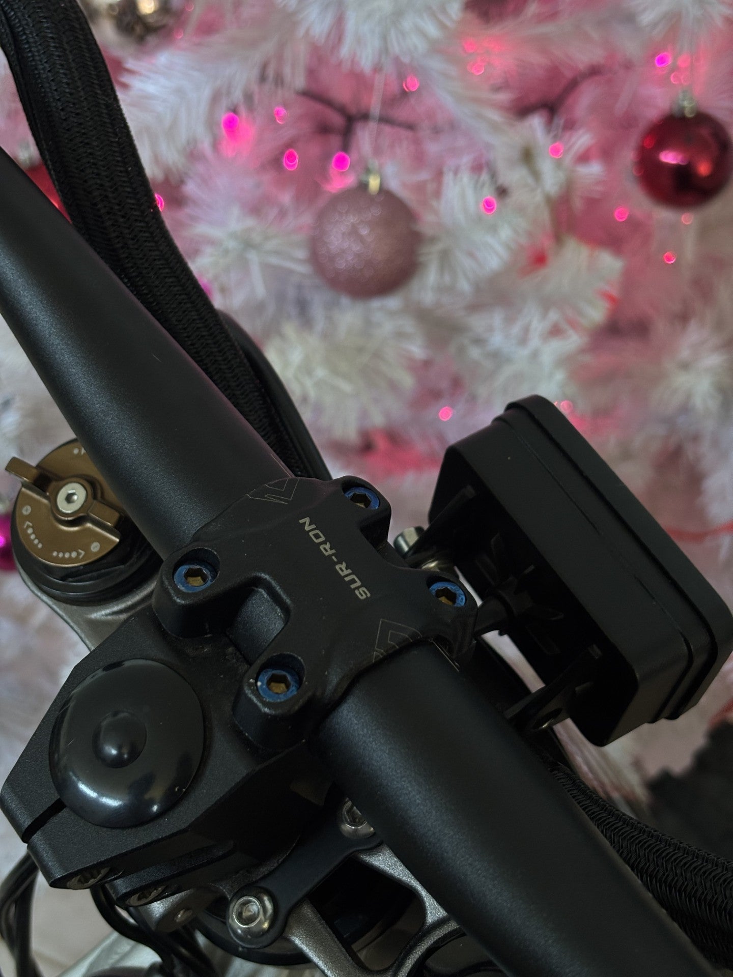 Stem Bolts